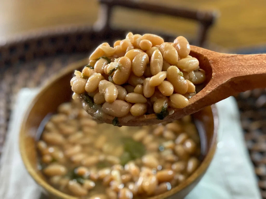 25 Bayo Bean Seeds, Rare Mexican Creamy Frijol, Heirloom, Non-GMO, Genuine USA
