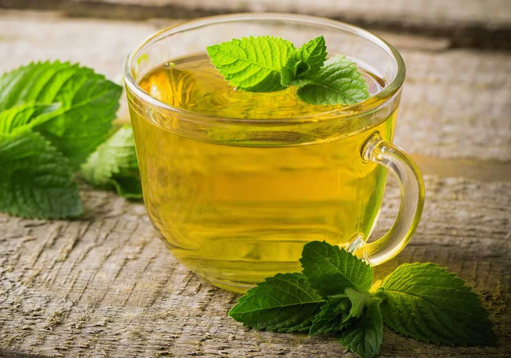 Spearmint Seeds | Mentha Spicata Spear Mint Non GMO Garden Vegetable Herb 2024