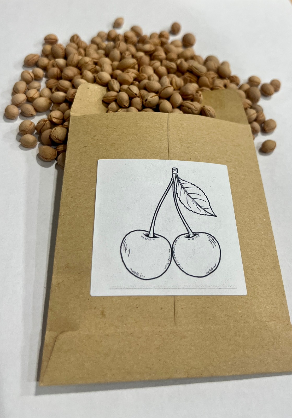 Western Sand Cherry Tree Seeds (Prunus Besseyi)