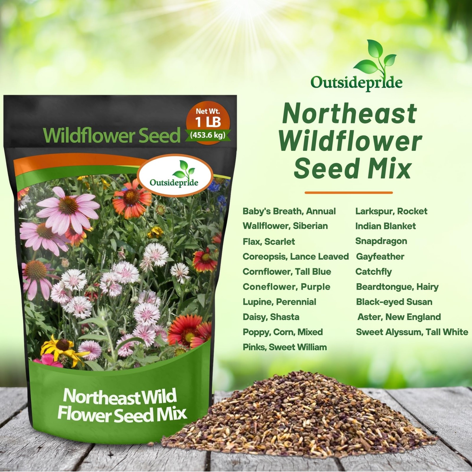 Northeast Wild Flower Seed Mix – 1 lbs Premium Blend of Vibrant Biennial & An…