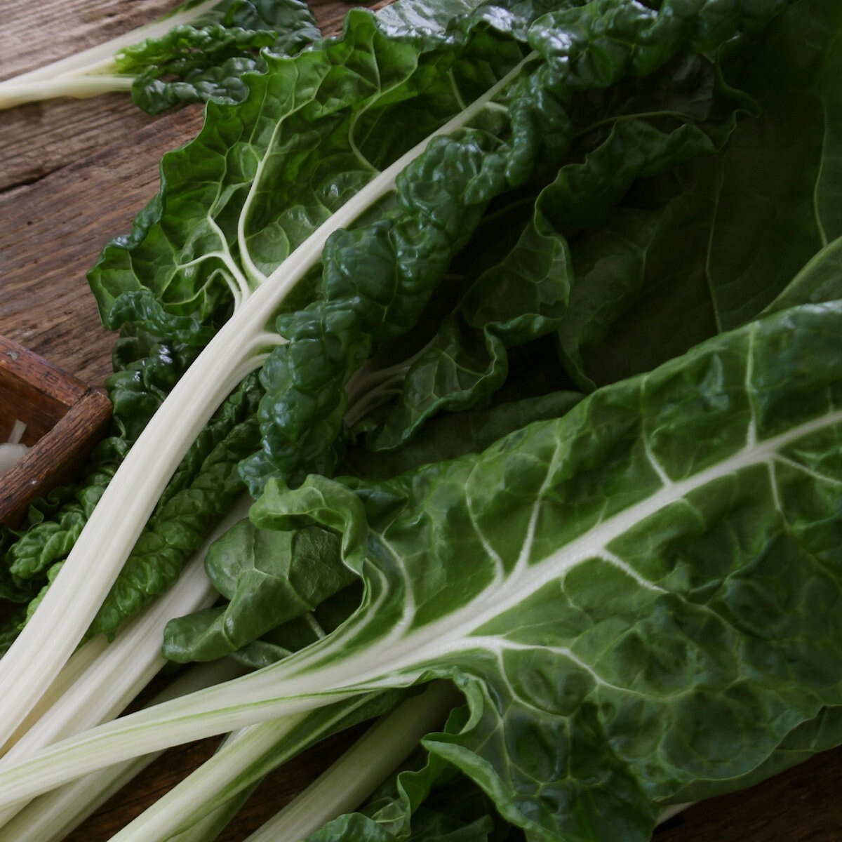 1/4 Lb Lucullus Swiss Chard Seeds – Everwilde Farms Mylar Seed Packet
