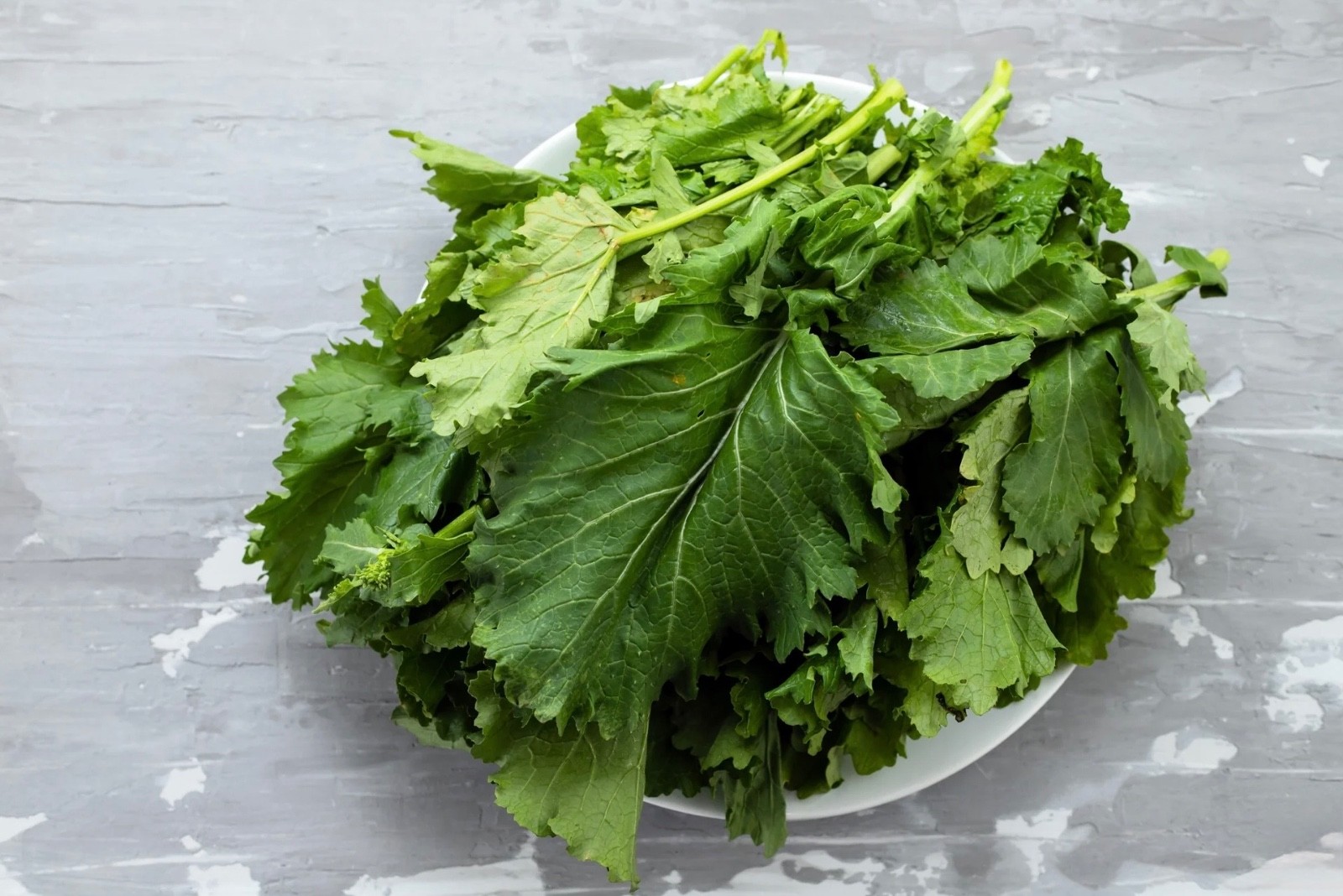 Organic Seven Top Turnip Greens Seeds, Non-GMO Heirloom. Fresh for 2026 🇺🇸