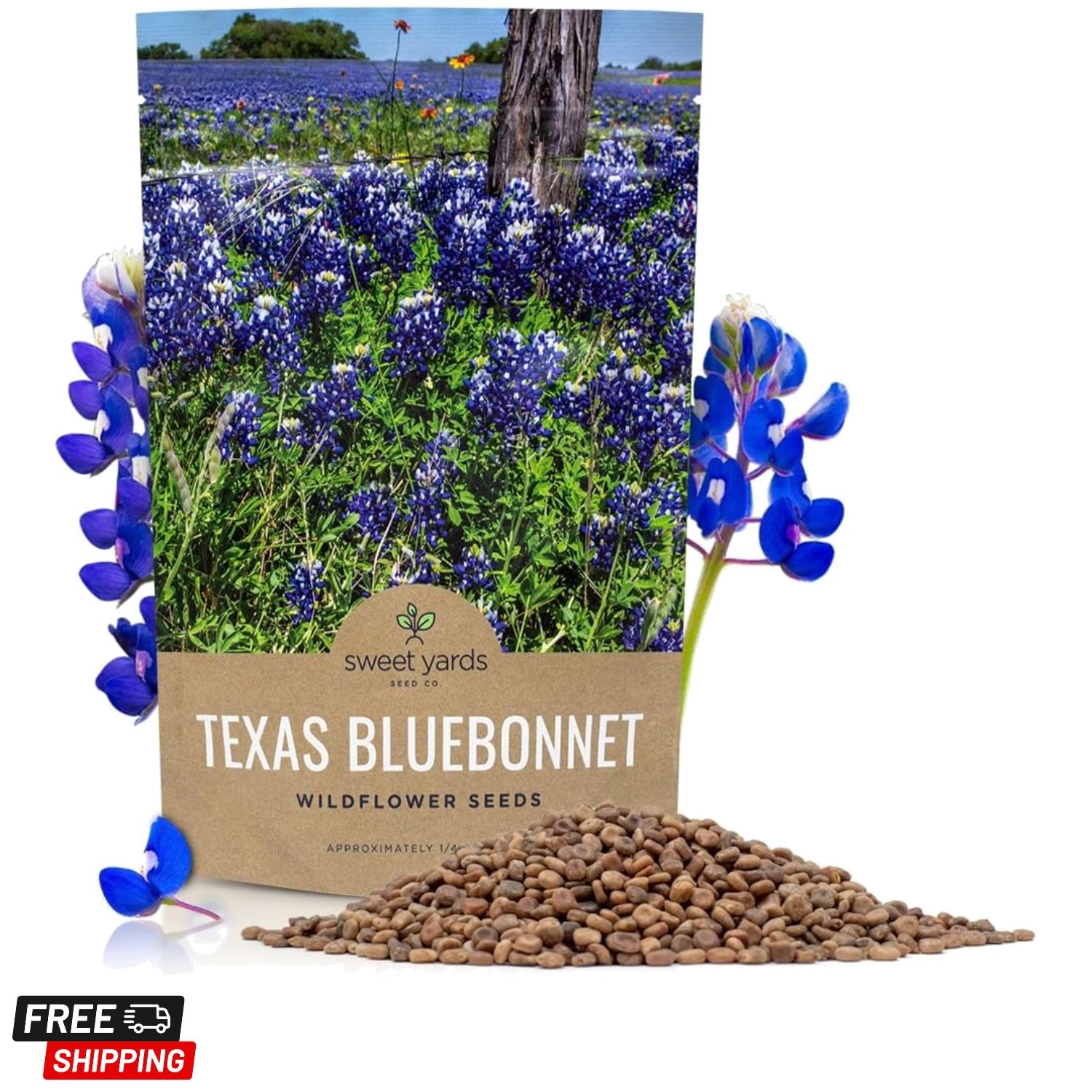 1/4 Pound of Texas Bluebonnet Seeds – Native Wildflower for Your Garden Paradise