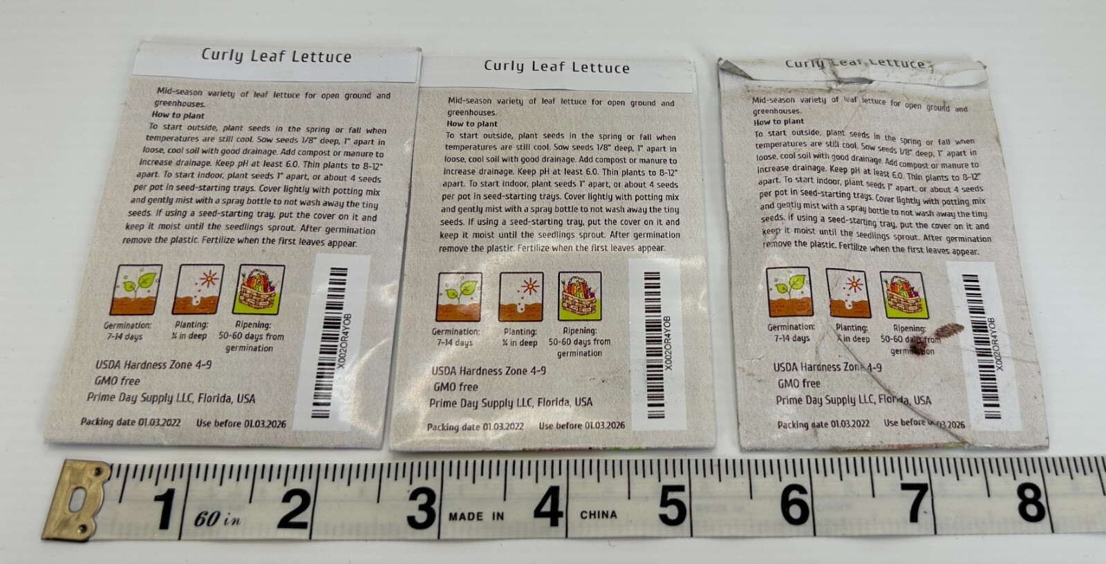 3 pkgs Cozy Crib Curly Leaf Lettuce Seeds 2000 seeds per pkg Zone 4-9
