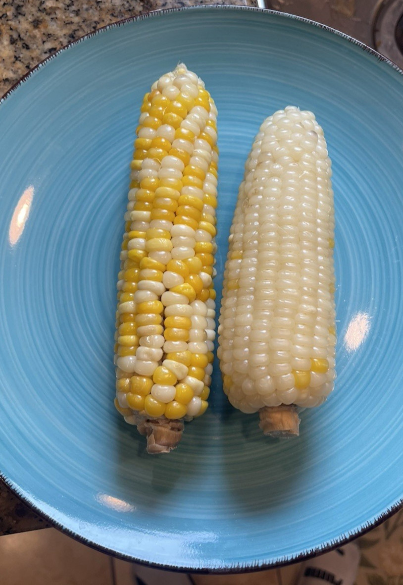 Organic Sweet Sticky Waxy White Glutinous Corn Non-GMO 糯玉米