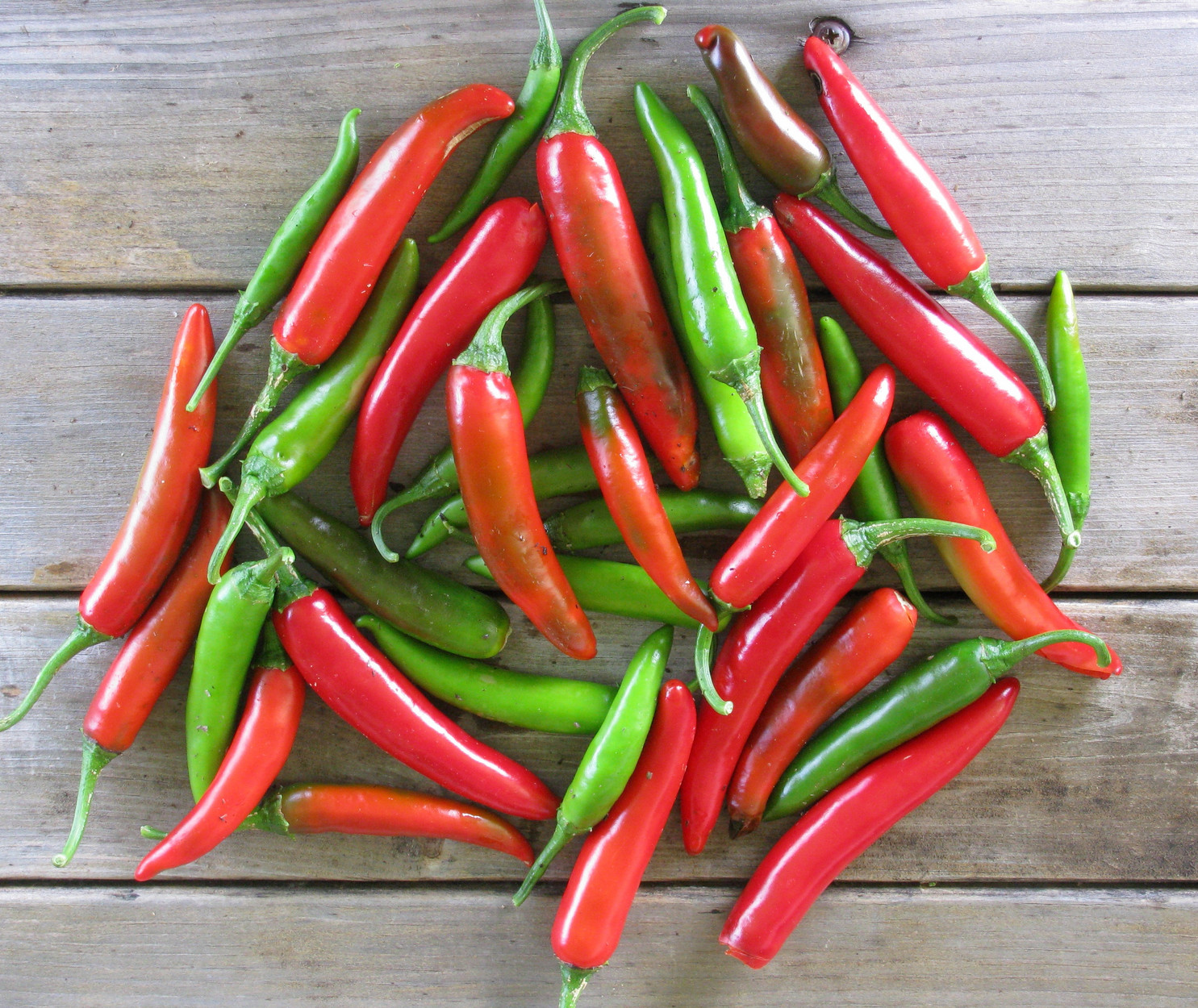 150+ Heirloom Organic Serrano Pepper Seeds HOT Non-GMO Pico – De Gallo Pepper!
