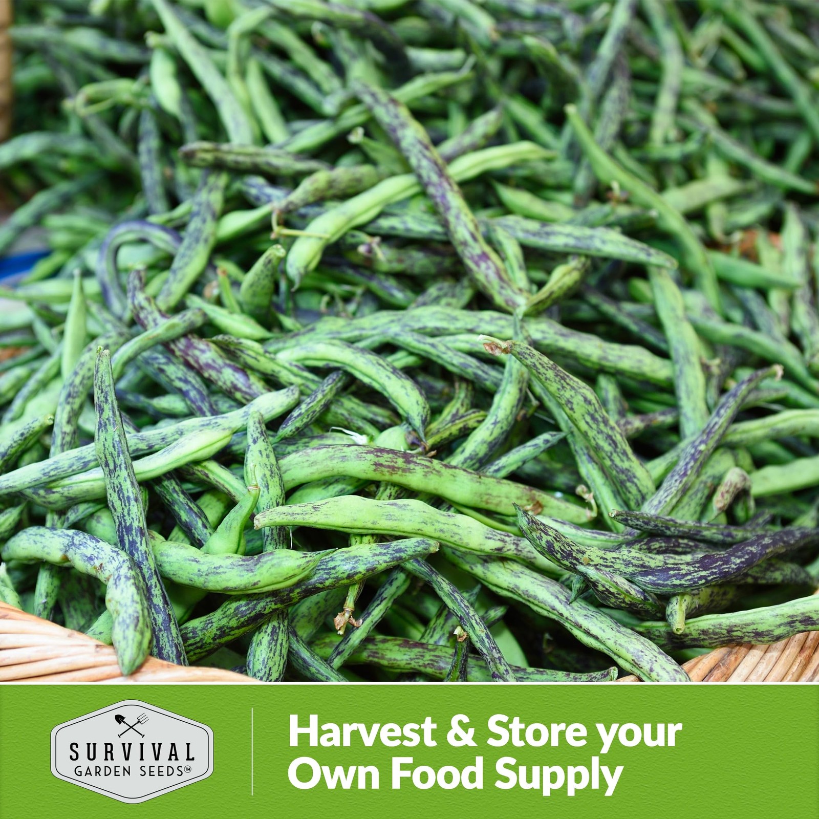 Heat Tolerant Rattlesnake Pole Bean Seeds Heirloom Climbing Green Beans