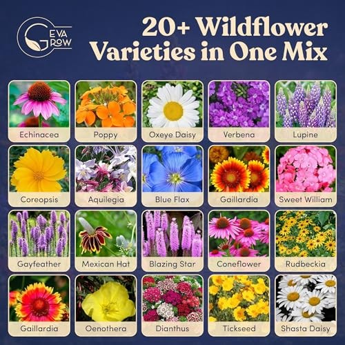 Bulk Wildflower Seed Shaker – Perennial 1 Pound Tub Premium Perennial Mix