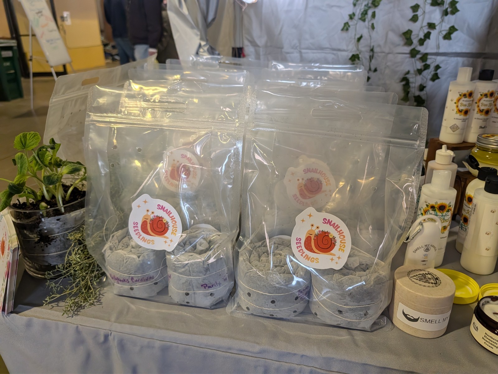 Choose Any 3 Seed Snails- Packed with seeds and ready to grow!