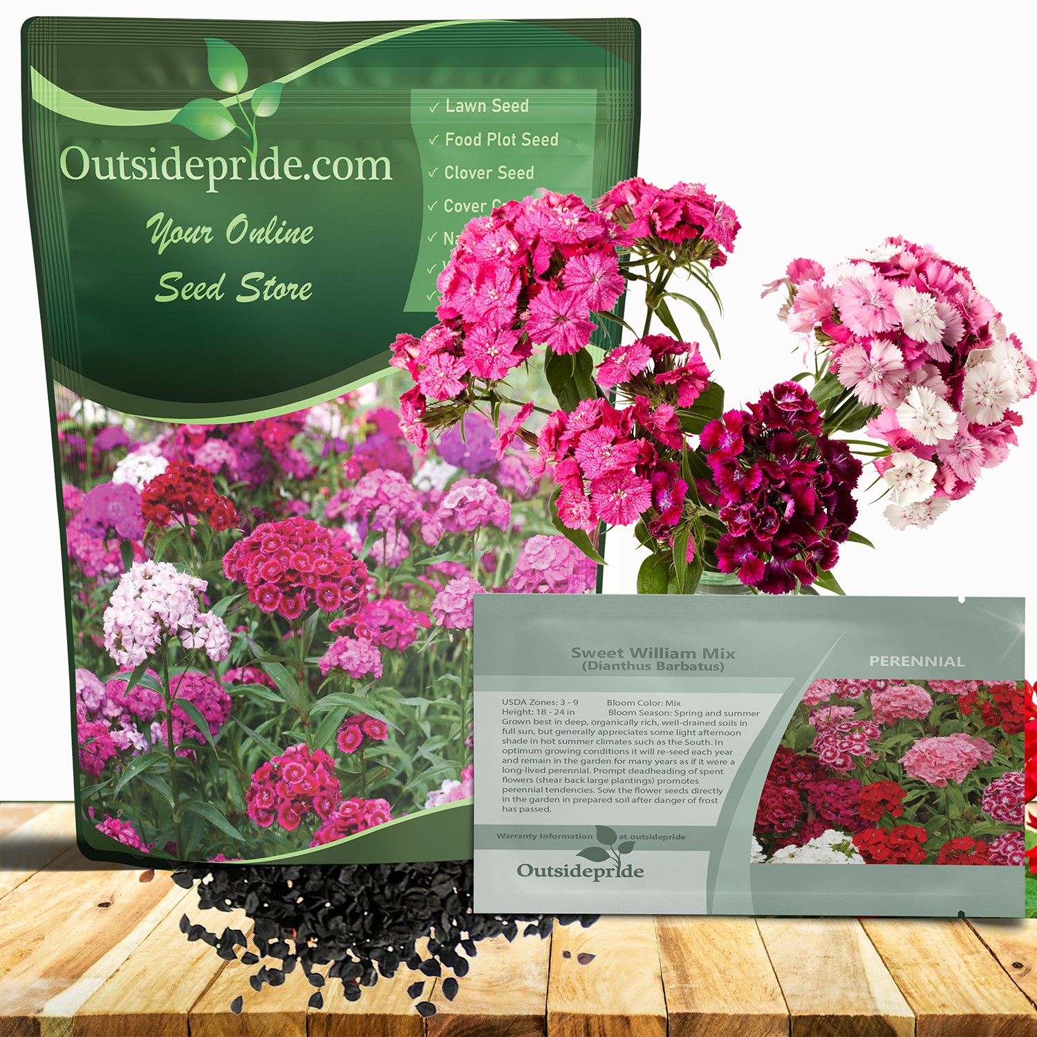 1 LB Dianthus Sweet William Seed Mix For Planting | Xeriscape Landscaping