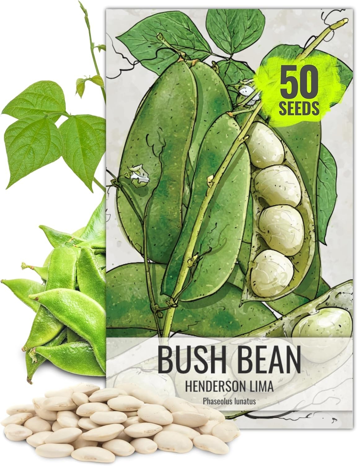 Henderson Lima Bean Seeds – Non-GMO Heirloom for Your Vibrant Vegetable Garden