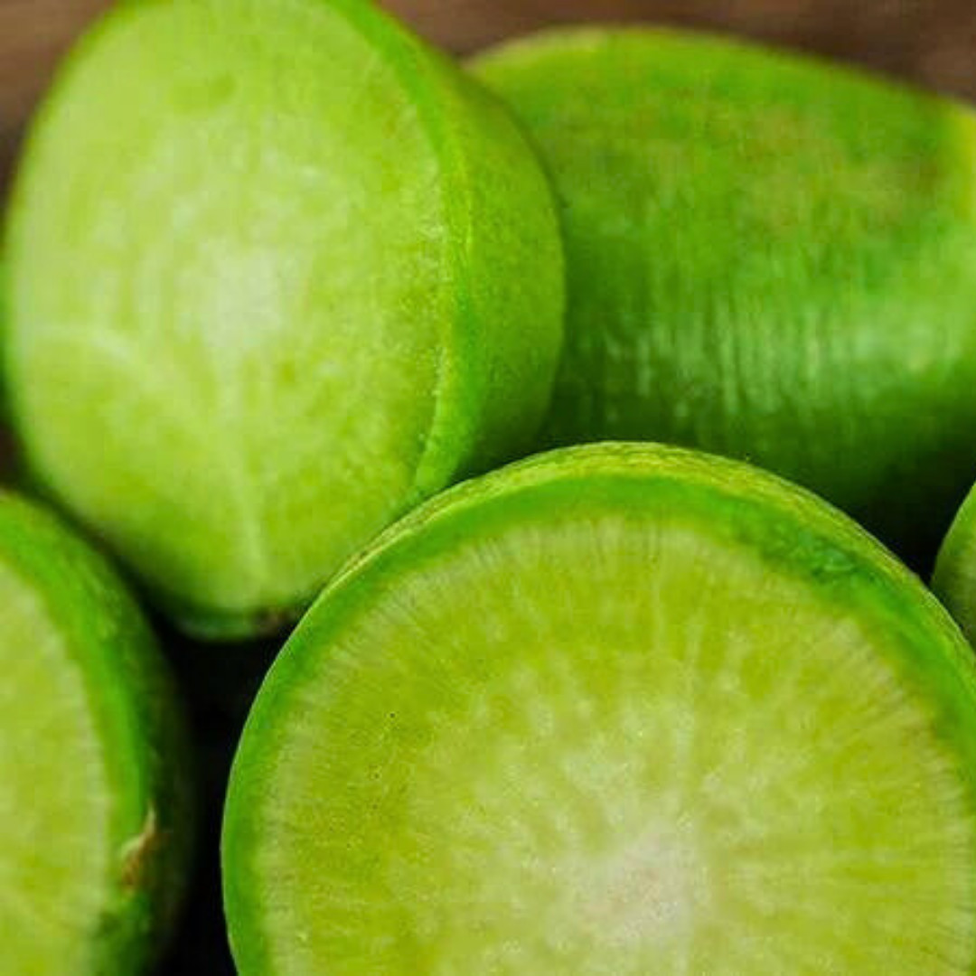 Fresh Premium Wasabi Radish Seeds | Heirloom Non-GMO | Asian Vegetable Seeds