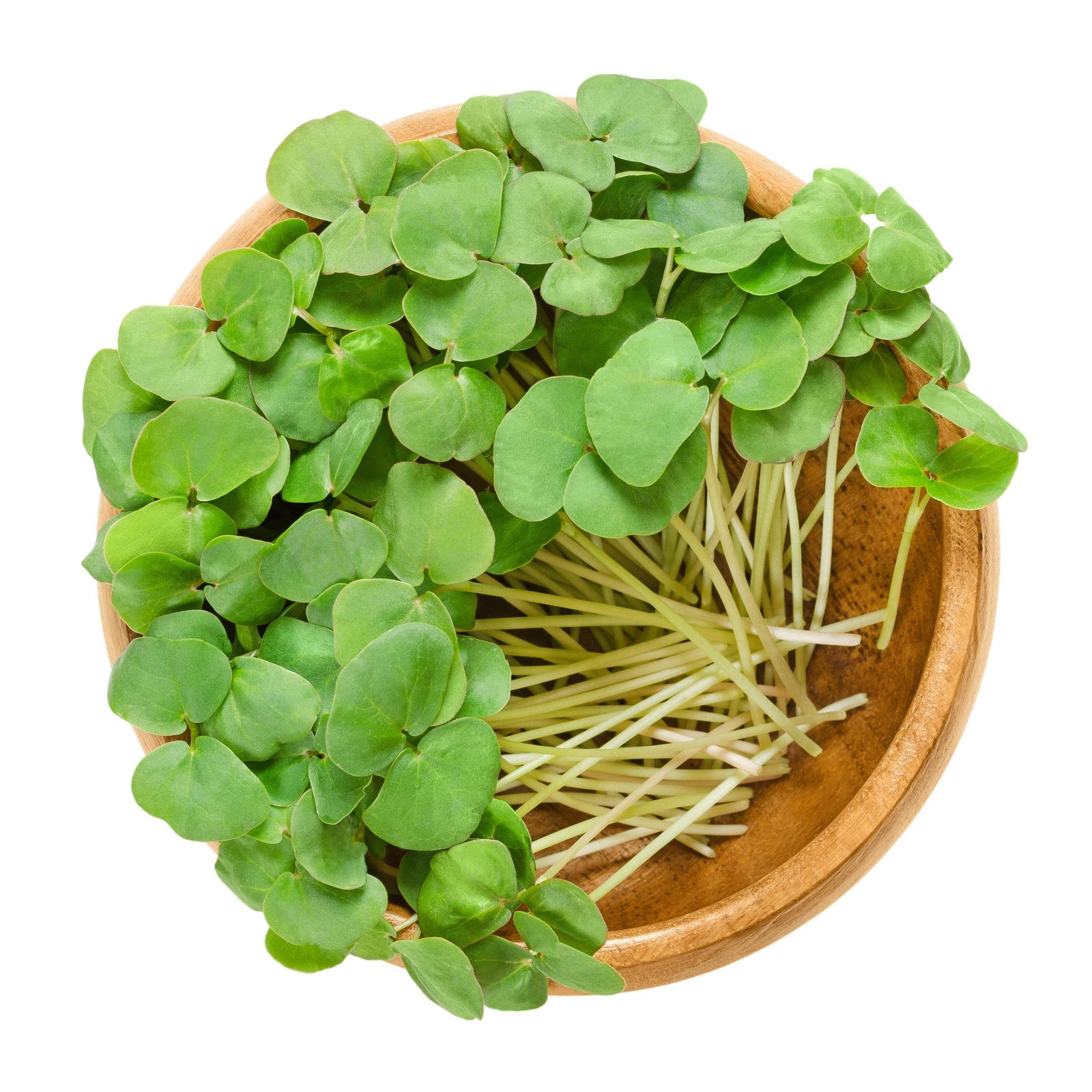 200 BUCKWHEAT Fagopyrum Esculentum Grain Cover Crop Ground Cover Flower Seeds
