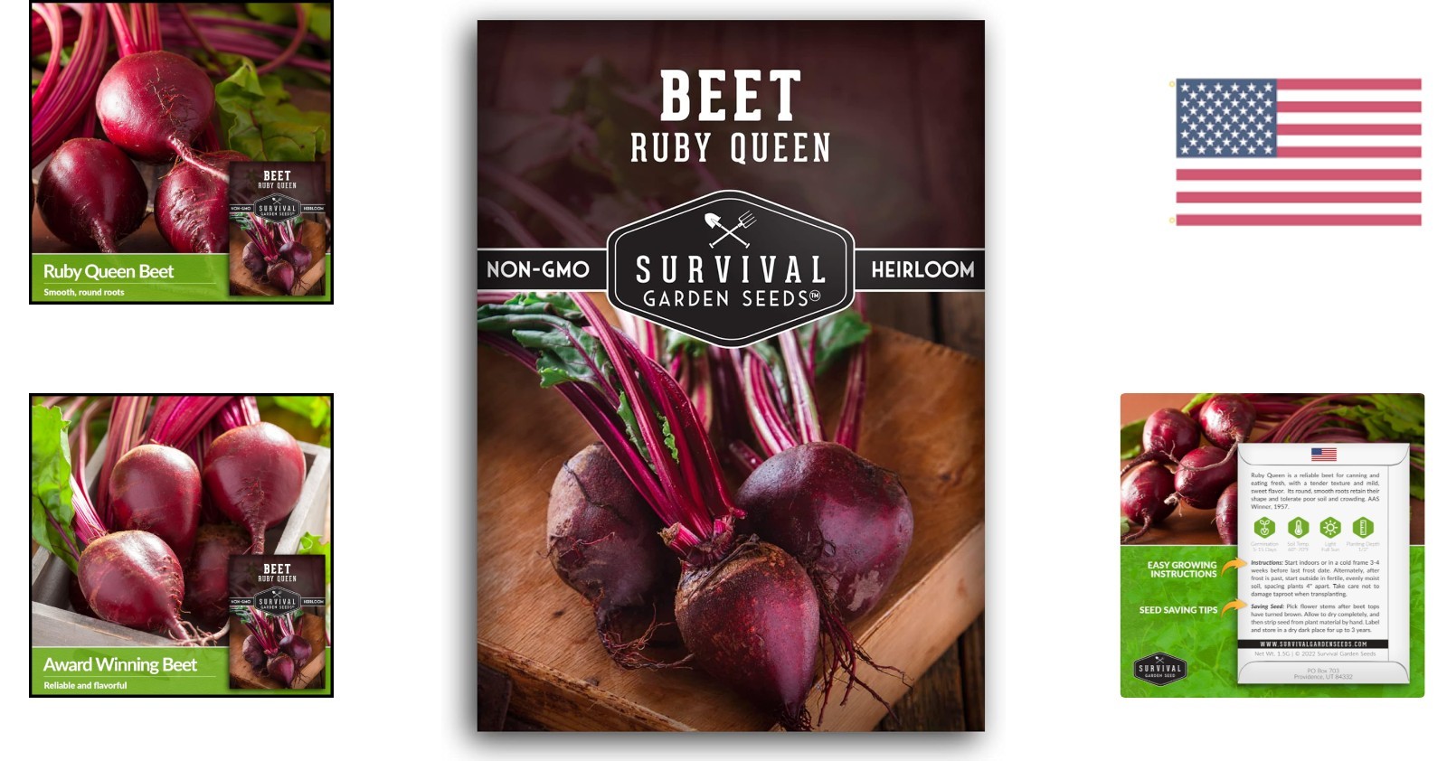 Heirloom Ruby Queen Beet Seeds – Compact, Disease Resistant, Gourmet Flavor