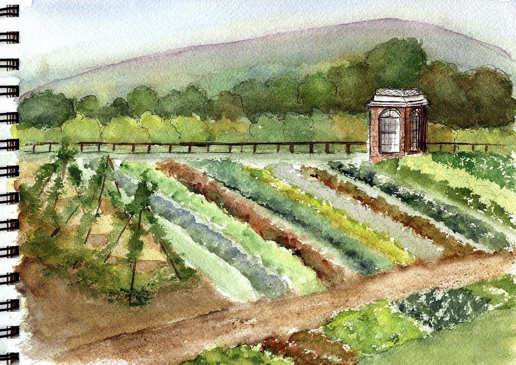 Victory Garden Prepper Vegetable Seeds 21 Variety Survival Heirloom Seeds Set