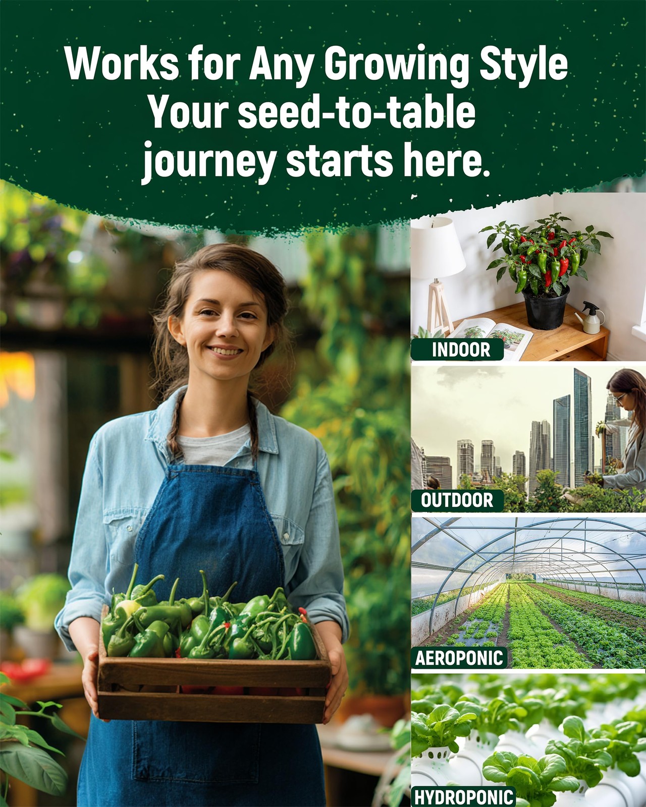 10 Variety Pepper Seeds for Planting – 2000+ 10 Seeds, green