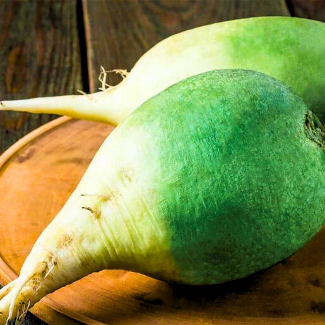 Fresh Premium Wasabi Radish Seeds | Heirloom Non-GMO | Asian Vegetable Seeds
