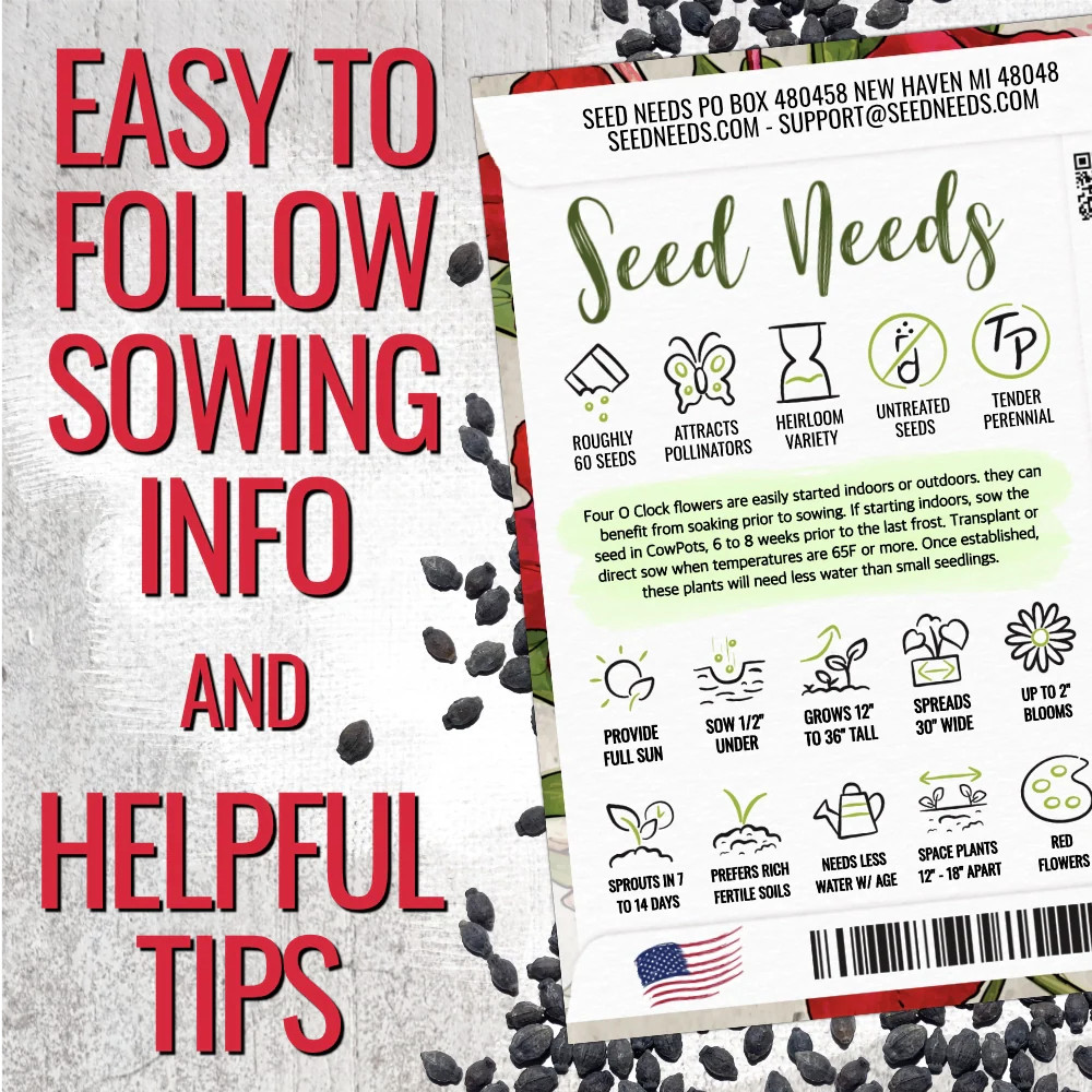 Red Four O’ Clock Seeds For Planting (Mirabilis jalapa)