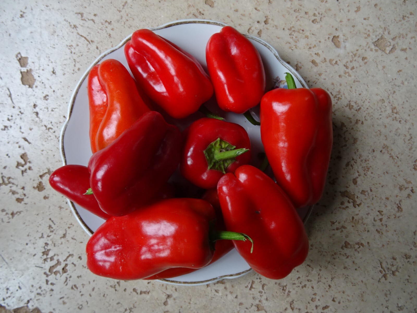 Sweet Red SNACKING Pepper 25 seeds Organic Non-GMO.