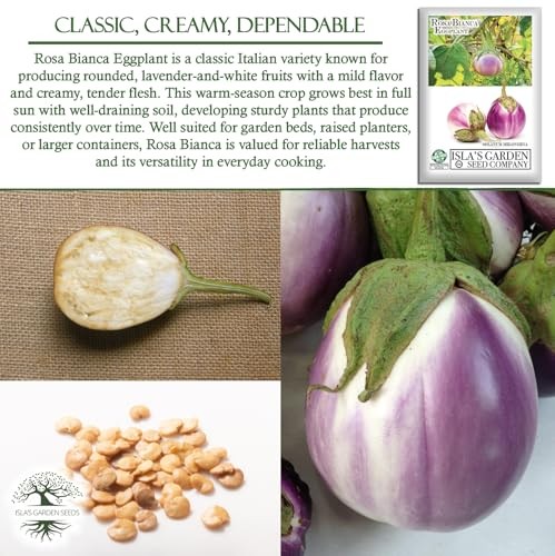 Rosa Bianca Eggplant Seeds (Solanum melongena) – 20 Non-GMO Heirloom Seeds by