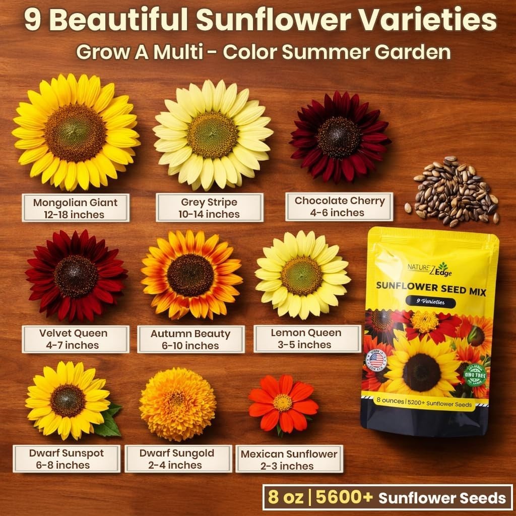 Family-Owned Sunflower Seeds Bulk Pack – Diverse Varieties