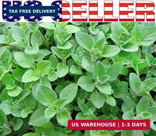 1000 Mixed Herb Seeds Heirloom Non GMO 12 Varieties This is a Mix, Thyme Oregano