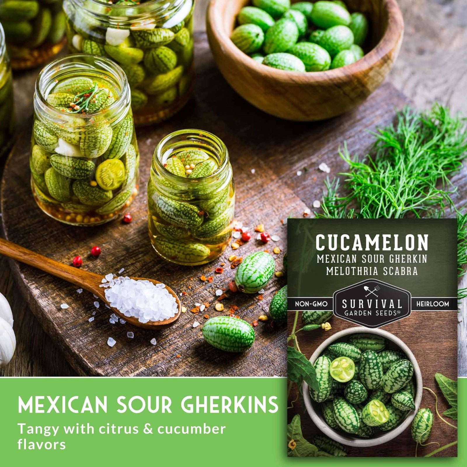 Cucamelon Seeds for Planting – Mexican Sour Gherkin Mini Watermelon Cucumber …