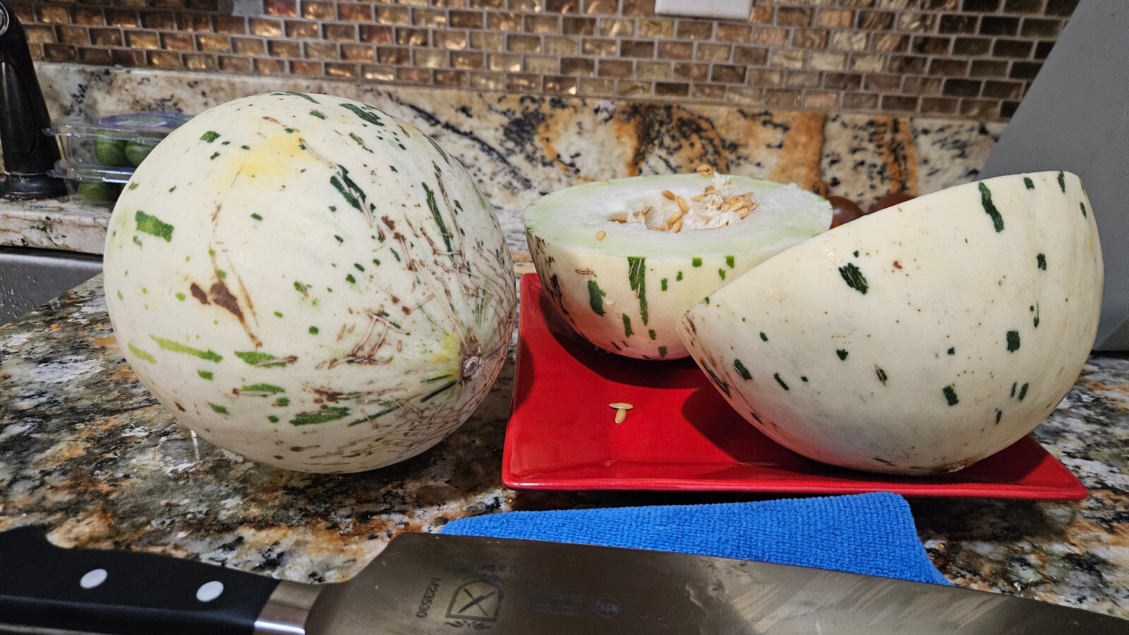 DYNO MELON Seeds (25) / DINOSAUR EGG MELON / SUPER RARE FRUIT