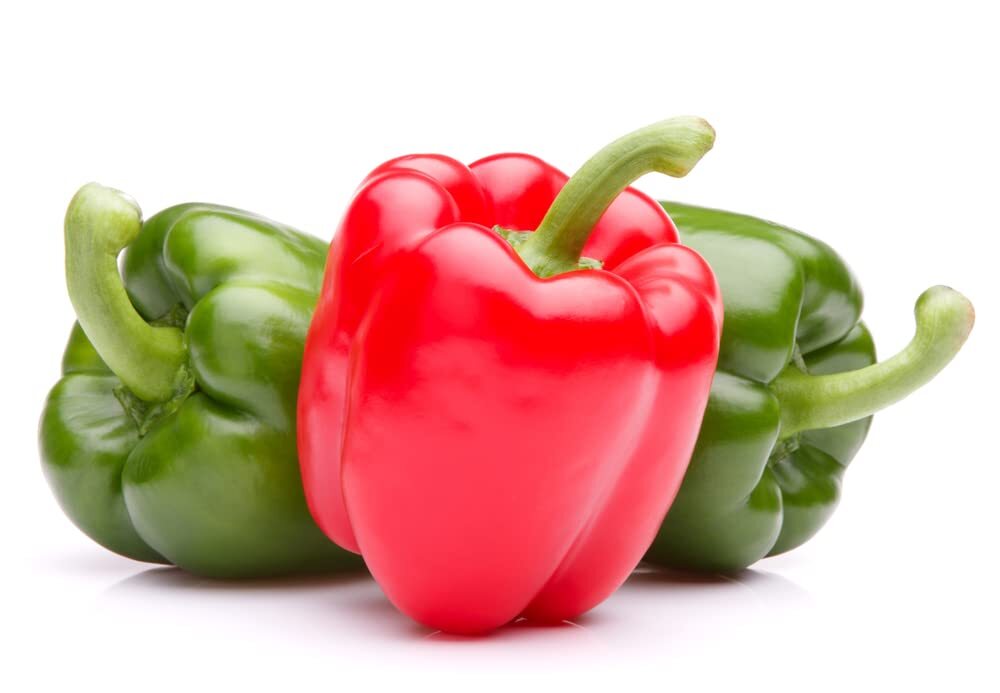 Ozark Giant Sweet Peppers Seeds (30 Seeds) – Grow Delicious Bell Peppers