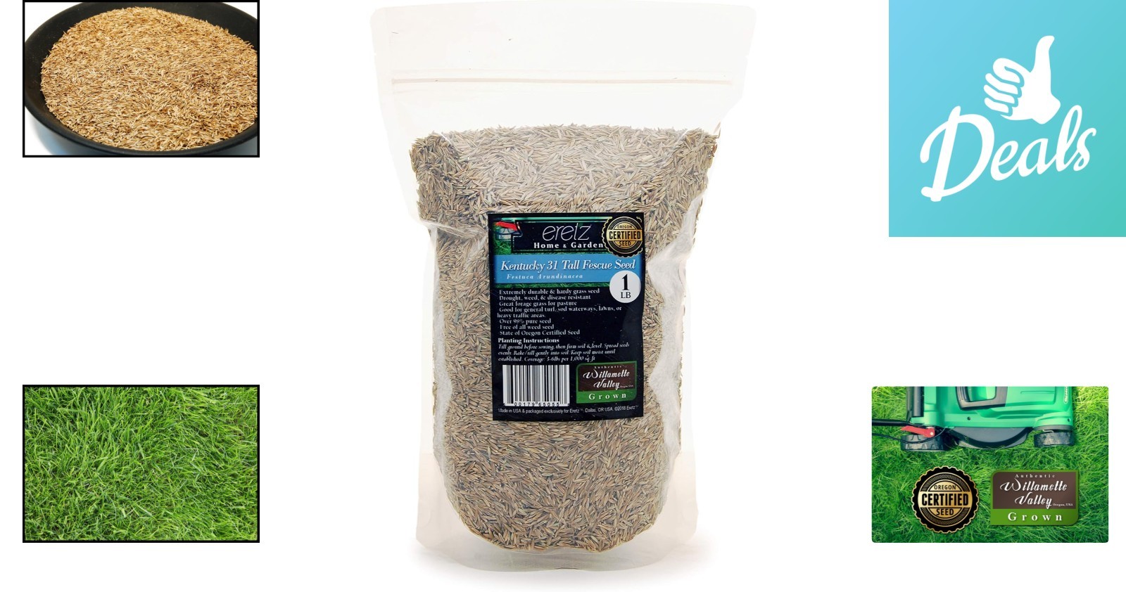 State Certified Kentucky 31 Tall Fescue Grass Seed 1lb – No Fillers, Non-GMO