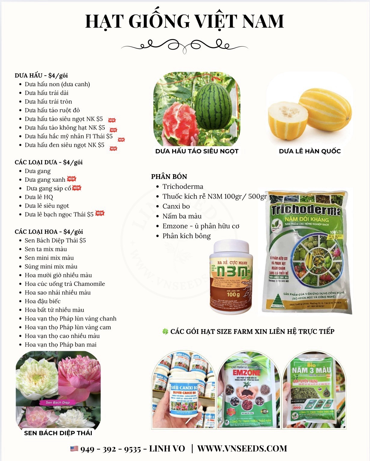 Hat Giong Rau Muong La Tre – Water Spinach Seeds – Kangkong Ongchoy -US Seller