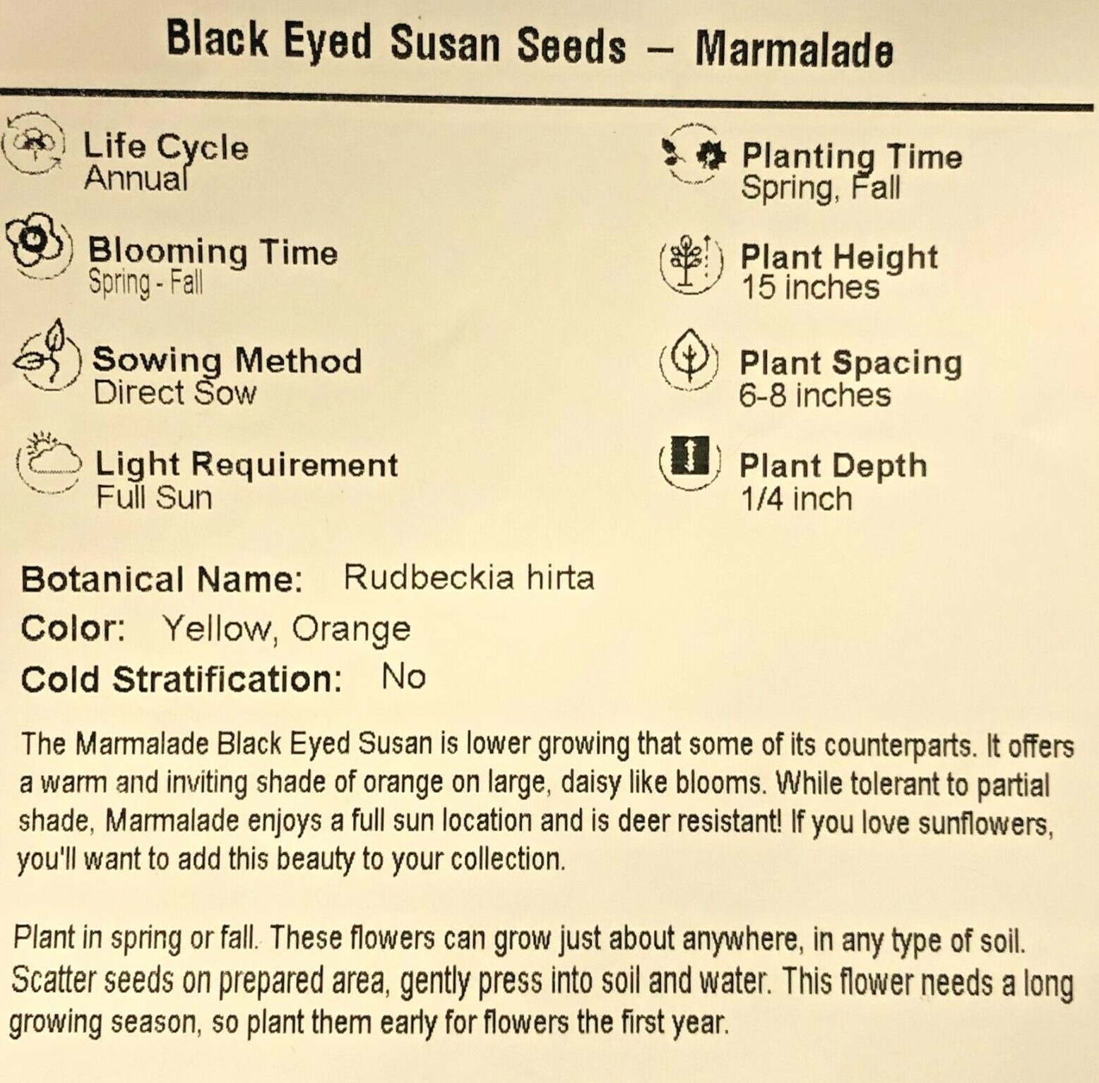 Black Eyed Susan Rudbeckia MARMALADE Dwarf Perennial Heirloom Non-GMO 500 Seeds!