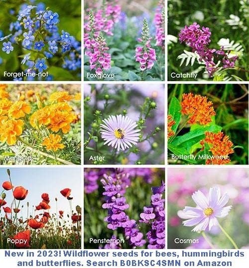 Bitter Melon Seeds – 10 Count, Deer Resistant for Summer Harvesting