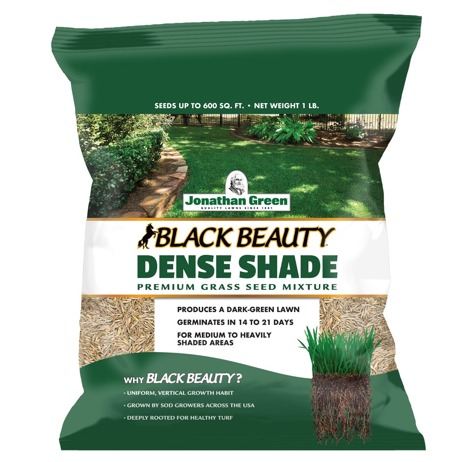 Dense Shade Grass Seed – Black Beauty Cool Season Lawn Seed – 1 lb for Thick Law