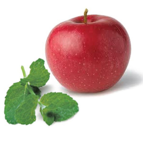 APPLE MINT * 1000 SEEDS * HERB * MEDICINAL * AROMA *BUTTERFLY MAG