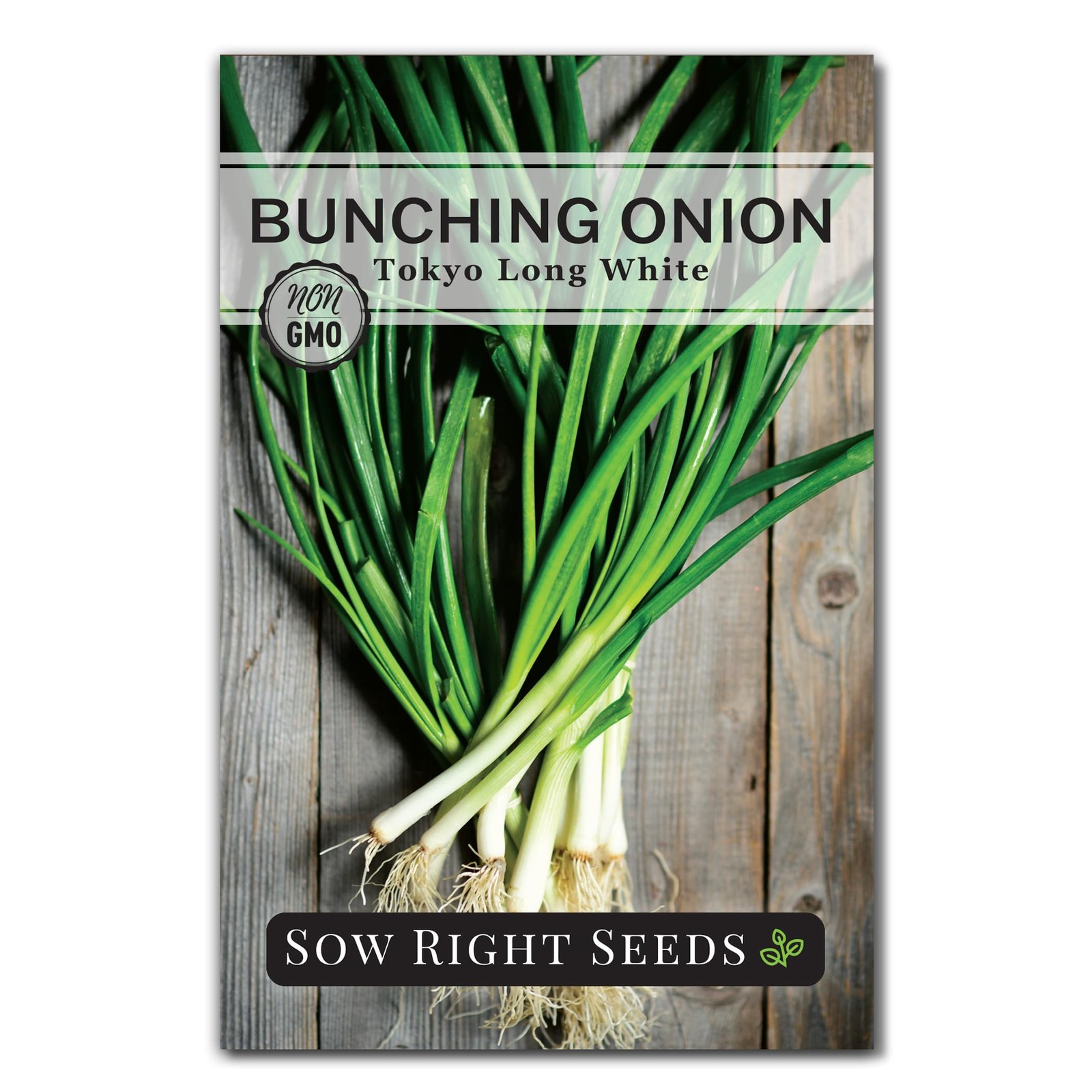 Bunching Onion Seeds Tokyo Long White Non GMO Heirloom Green Onions 500mg Garden