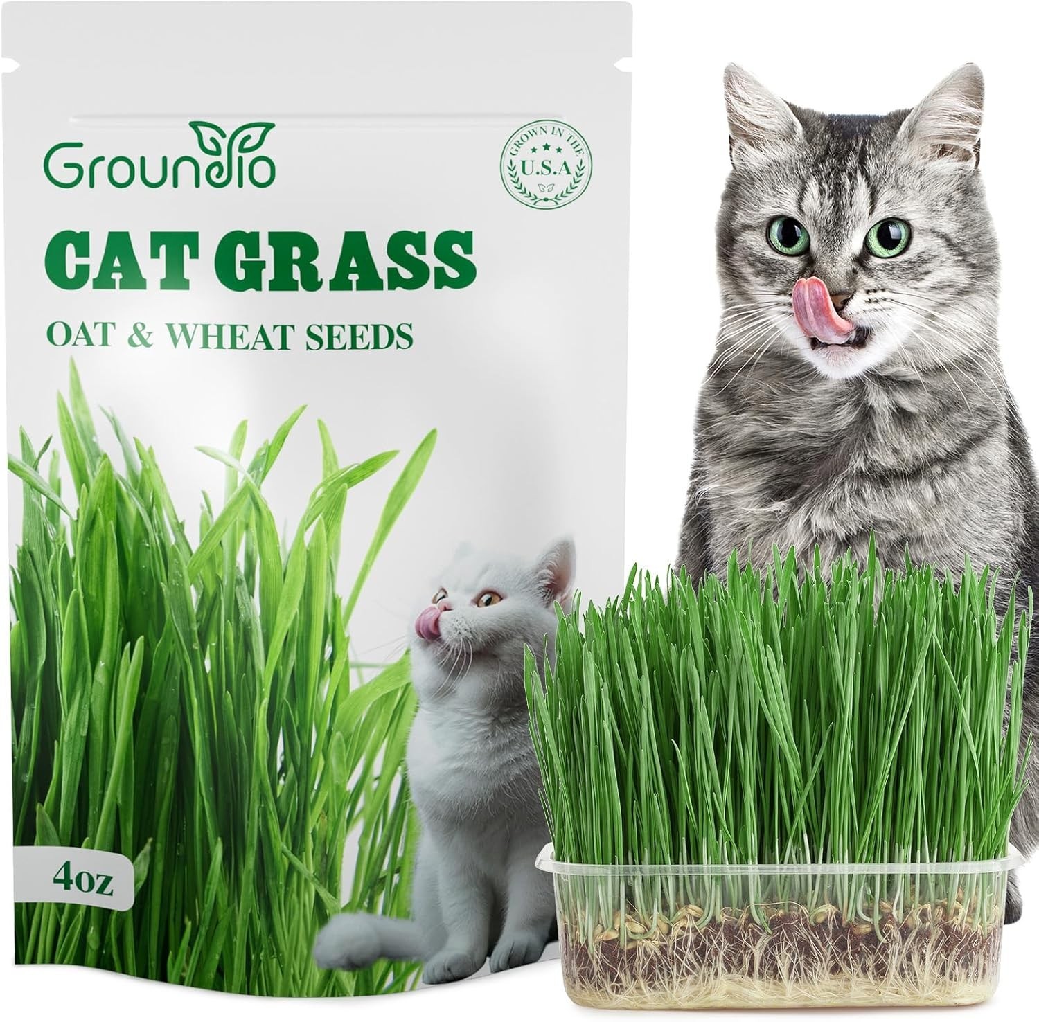 4 Oz Cat Grass Seeds Mix – Fast-Growing Non-GMO Wheat & Oat For Healthy Cats