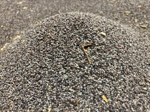 3lb Fresh Imported Poppy Seeds! Amazing Best Quality! FREE SHIPPING!
