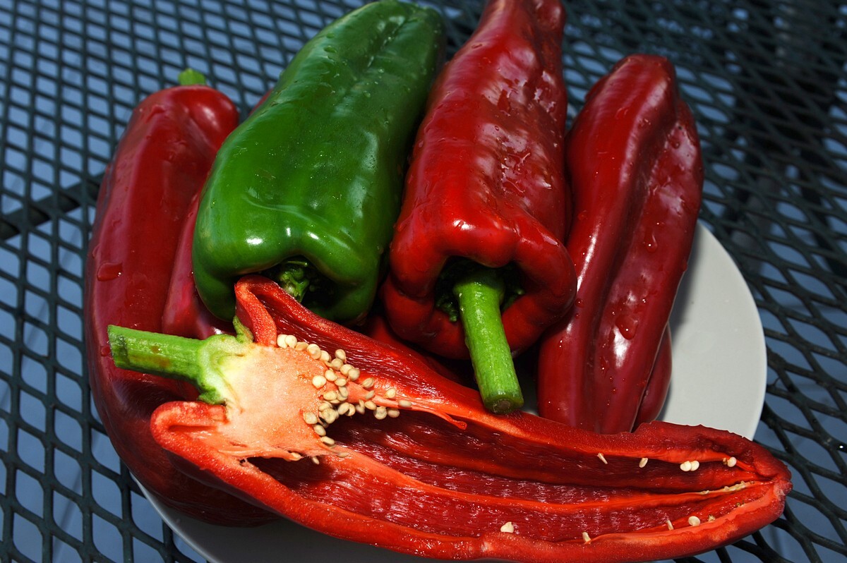 30 Giant Marconi Sweet Pepper Seeds