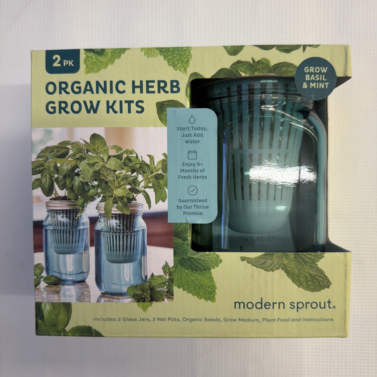 Modern Sprout Organic Herb Grow Kits 2-Pack Basil & Mint Indoor Garden