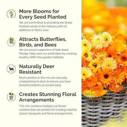 Wildflower Mixed Seeds for Planting – 1 lb, 480,000+ Seeds, Attracts Pollinators