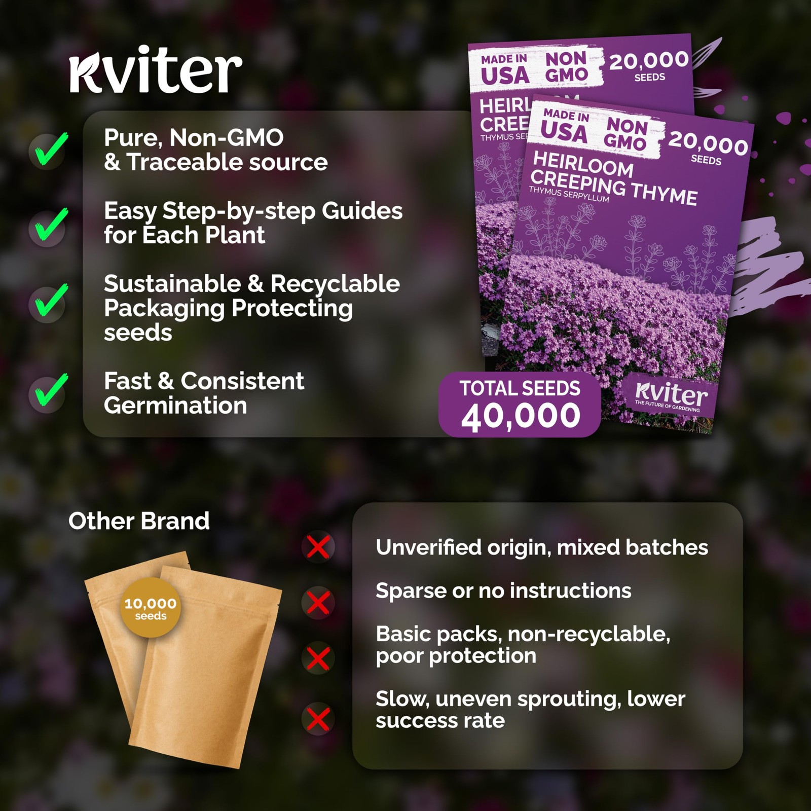 KVITER 40,000 Creeping Thyme Seeds (Thymus Serpyllum), 2 Pack