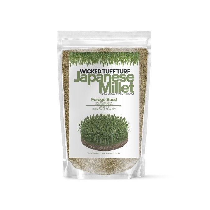 Old Cobblers Farm™ Wicked Tuff Turf Japanese Millet Grass Seed – For Soil Cover