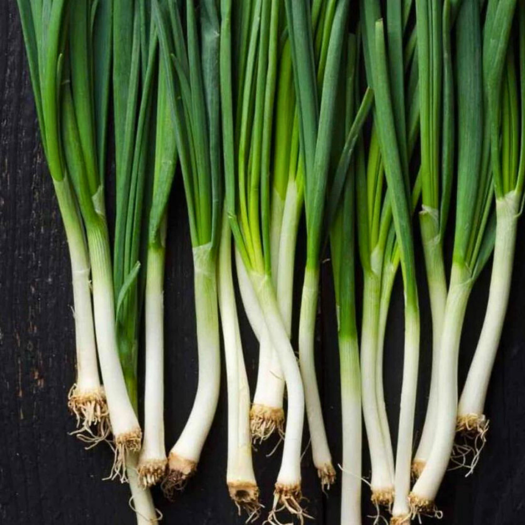 Fresh White Bunching Onion | Asian Green Onion | Heirloom Non-GMO | Vegetables
