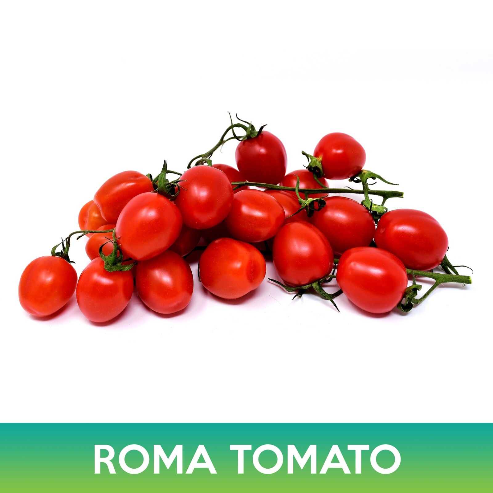 Roma Tomato Seeds