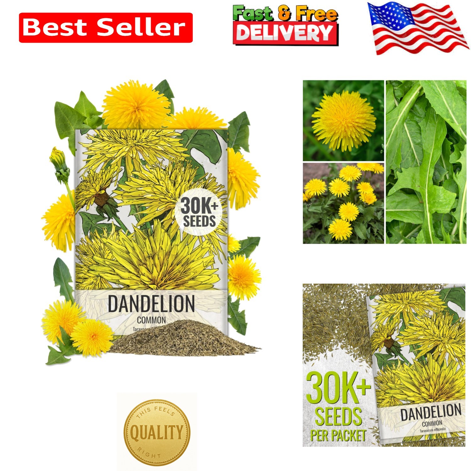 Heirloom Dandelion Seeds for Home Garden – 30,000 Non-GMO Seeds for All Zones