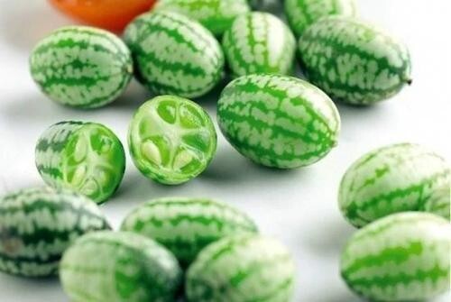 ORGANIC SEEDS 20 Cucamelon Melothria Scabra MINI WATERMELON BIO Non-GMO