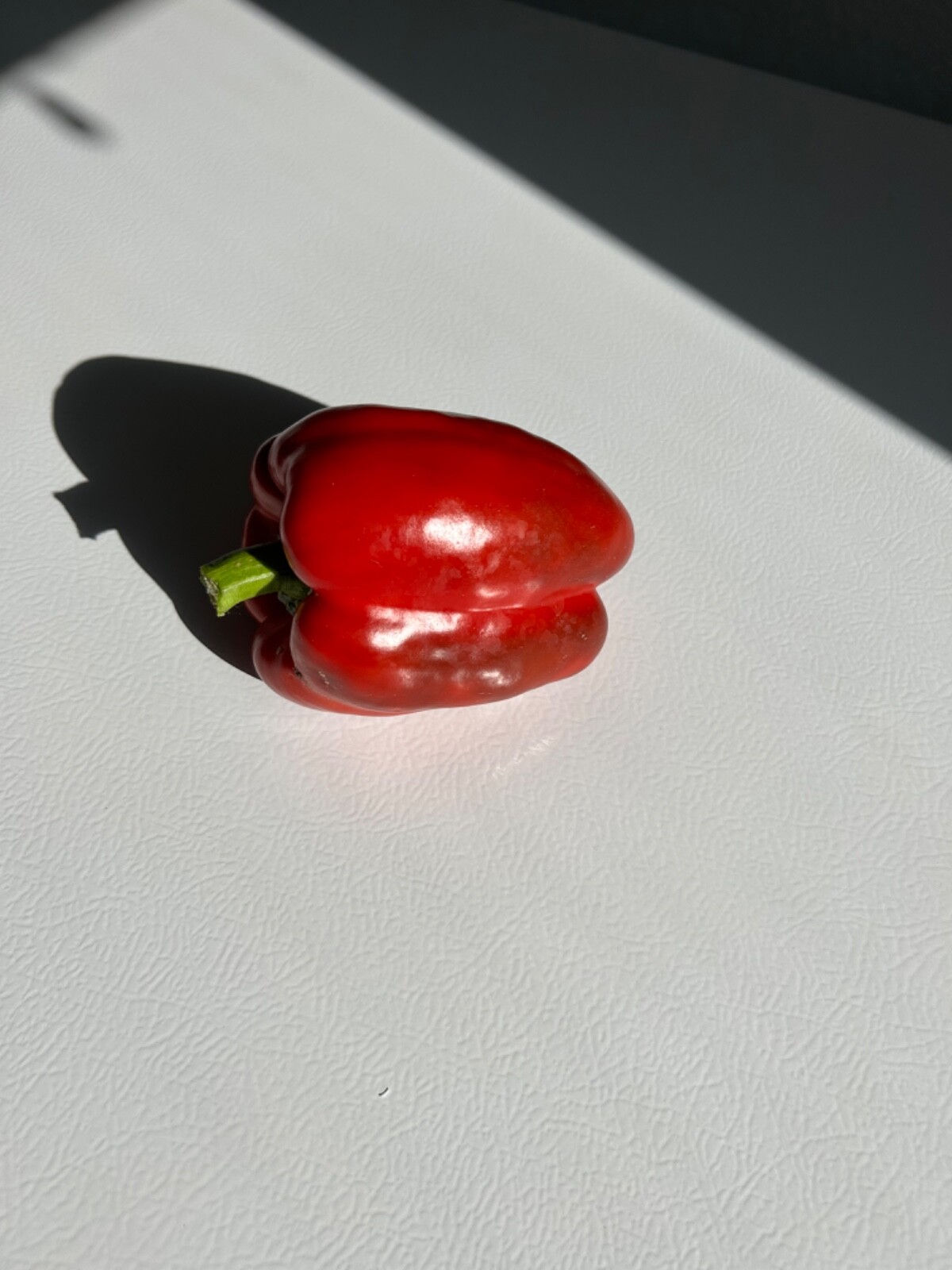 30+ Red Extra Large Bell Pepper Seeds Prolific Heirloom
