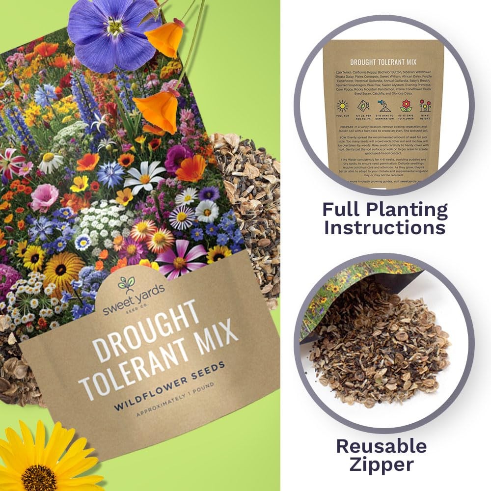 Drought Tolerant Wildflowers Mix – Bulk 1 Pound Bag – Over 120,000 Open Polli…