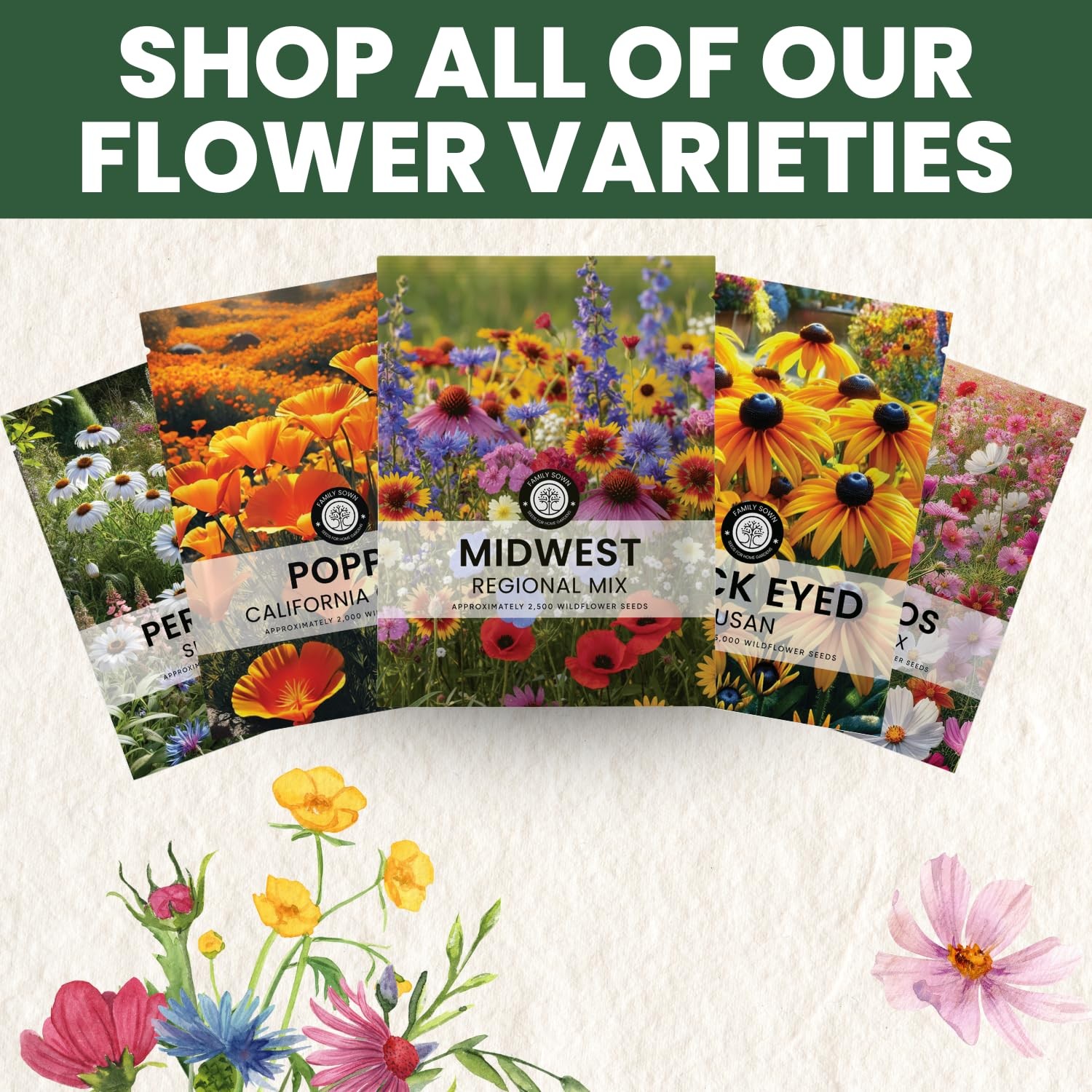 Midwest Regional Wildflower Seeds – 2,500 Seeds, 5 Gram Pouch – Native Blend